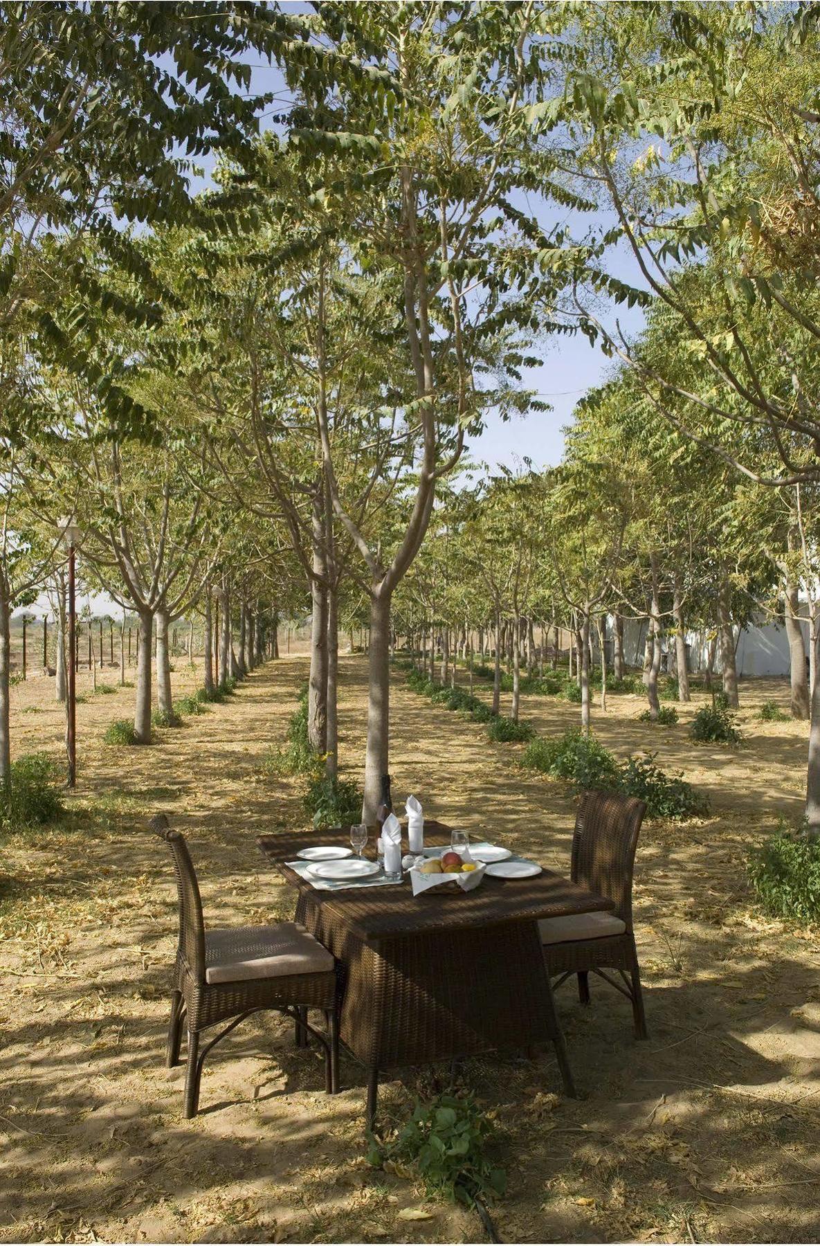 The Greenhouse Resort Pushkar Zewnętrze zdjęcie